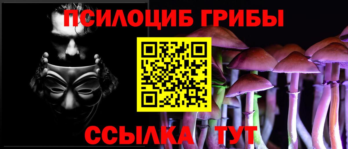 купить   Псилоцибиновые грибы MAGIC MUSHROOMS  Вход с VPN  Жуковский 